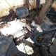 Image for article titled Animal Feces, Doors Falling Off, Huge Rust Holes: Here's Everything Wrong With David Tracy's $1500 Jeep FC